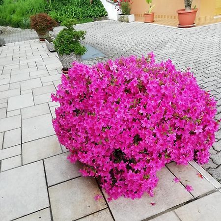 Alloggio Cristina Valdobbiadene Bagian luar foto