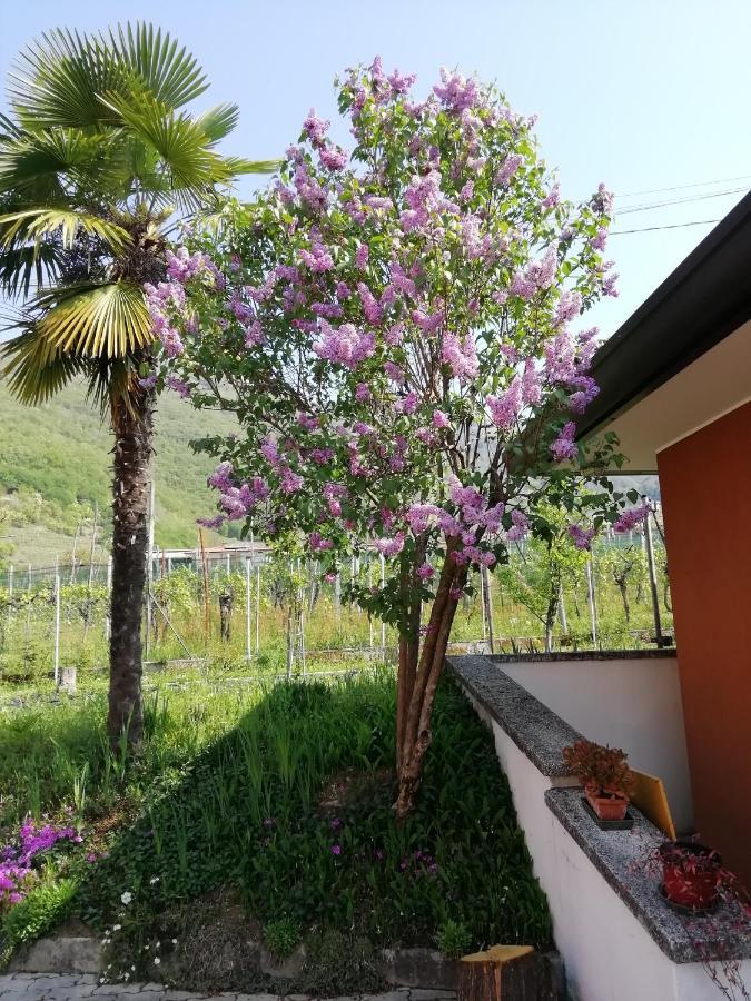 Alloggio Cristina Valdobbiadene Bagian luar foto