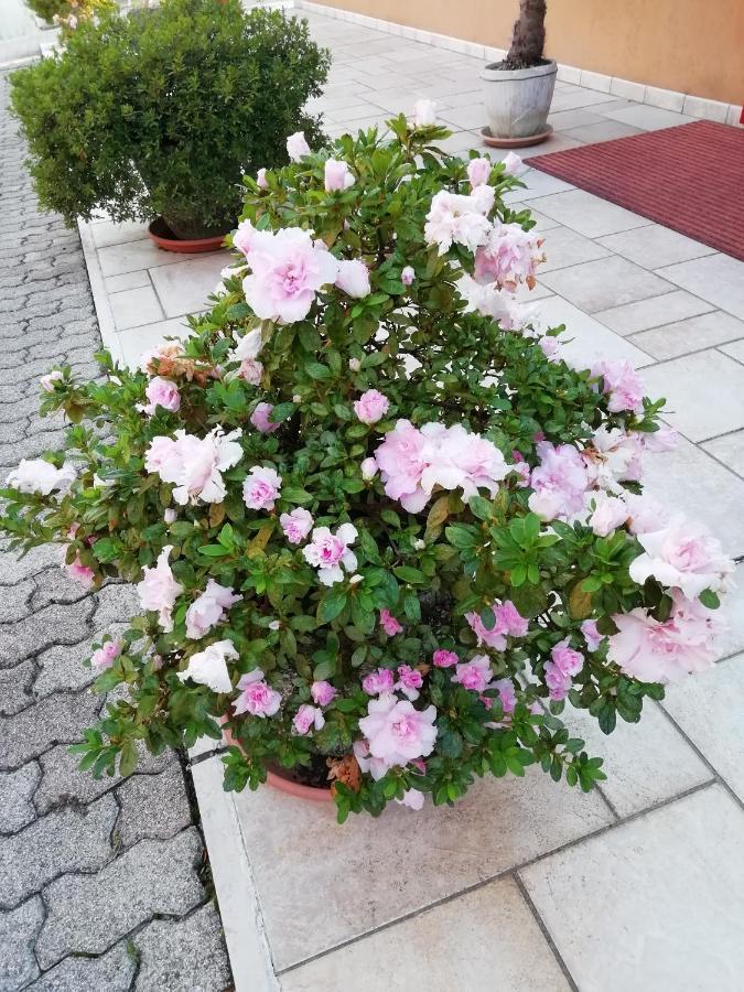 Alloggio Cristina Valdobbiadene Bagian luar foto