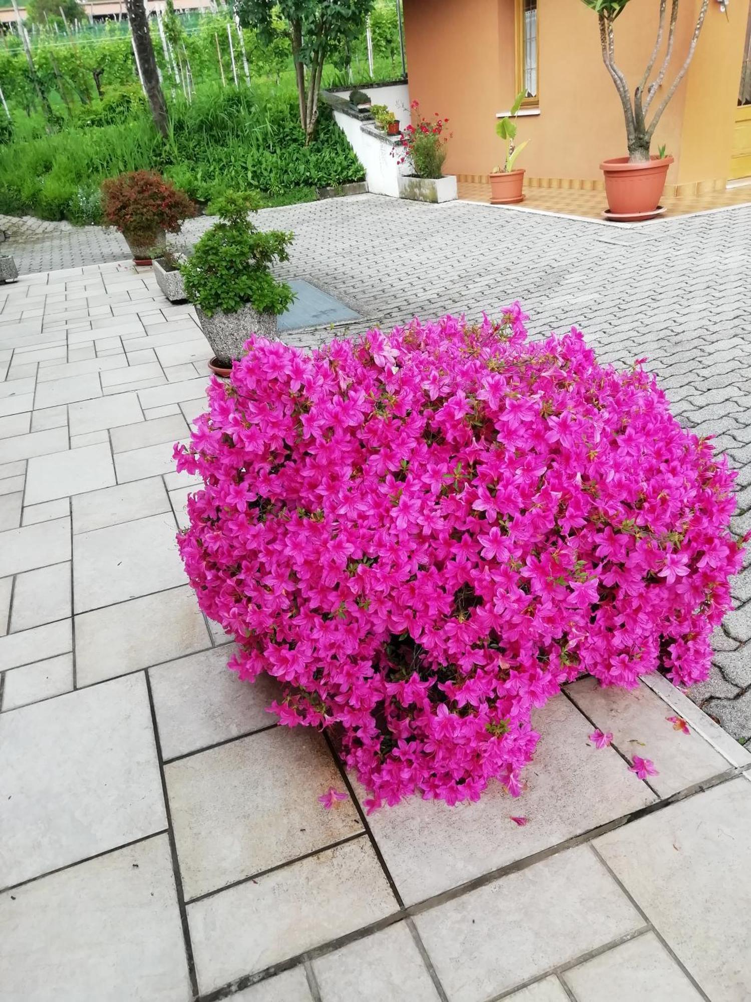 Alloggio Cristina Valdobbiadene Bagian luar foto